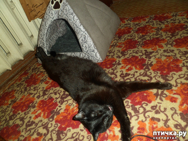 ���� 6: ������ �������