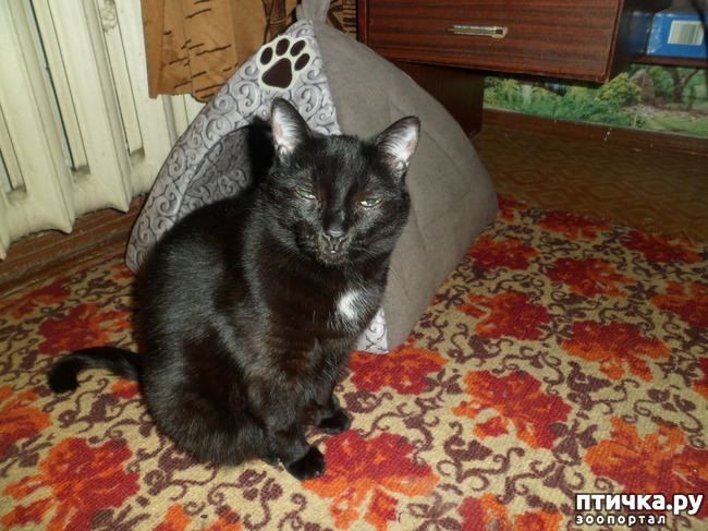 ���� 7: ������ �������