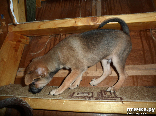 ���� 13: ����������� �������� ���� ���: ����, ������� ���, ��������, ������� �� ����� � ������� ����� + ��� ������� �����?