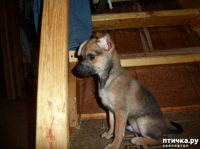 ���� 14: ����������� �������� ���� ���: ����, ������� ���, ��������, ������� �� ����� � ������� ����� + ��� ������� �����?