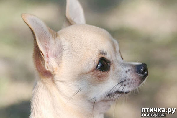 ���� 15: ����������� �������� ���� ���: ����, ������� ���, ��������, ������� �� ����� � ������� ����� + ��� ������� �����?