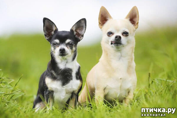 ���� 16: ����������� �������� ���� ���: ����, ������� ���, ��������, ������� �� ����� � ������� ����� + ��� ������� �����?