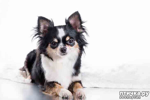 ���� 17: ����������� �������� ���� ���: ����, ������� ���, ��������, ������� �� ����� � ������� ����� + ��� ������� �����?