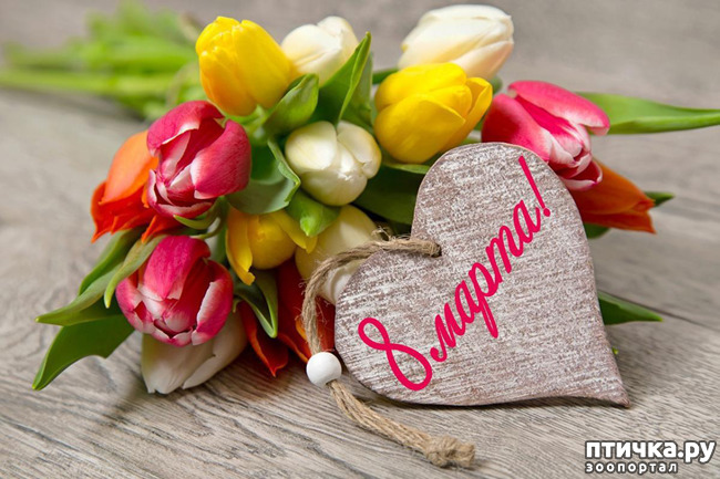 ���� 2: � ����������� �������� ����������!:)