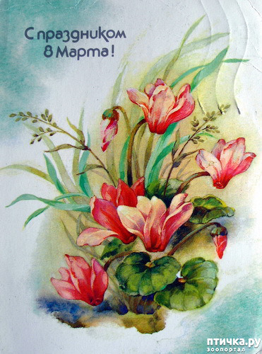 ���� 6: � ����������� �������� ����������!:)