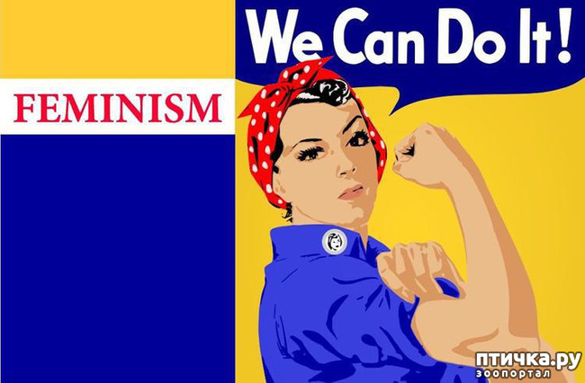 ���� 1: �� ��� ������� ������� ����������?