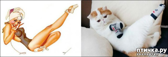 ���� 3: ����� � ����� ���-�� 2