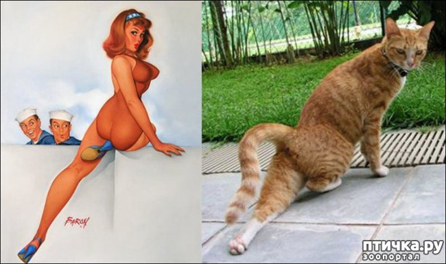 ���� 4: ����� � ����� ���-�� 2