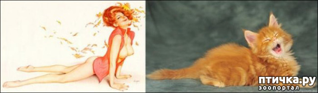 ���� 6: ����� � ����� ���-�� 2