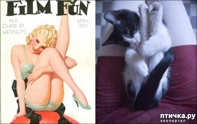 ���� 9: ����� � ����� ���-�� 2