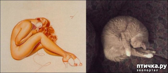 ���� 10: ����� � ����� ���-�� 2