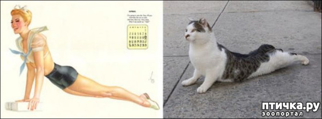 ���� 11: ����� � ����� ���-�� 2