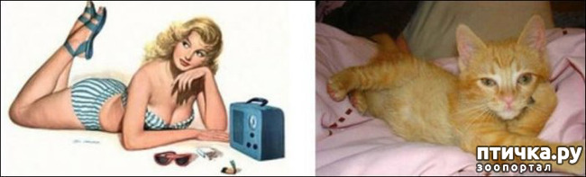 ���� 12: ����� � ����� ���-�� 2