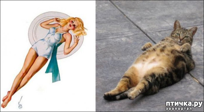 ���� 13: ����� � ����� ���-�� 2