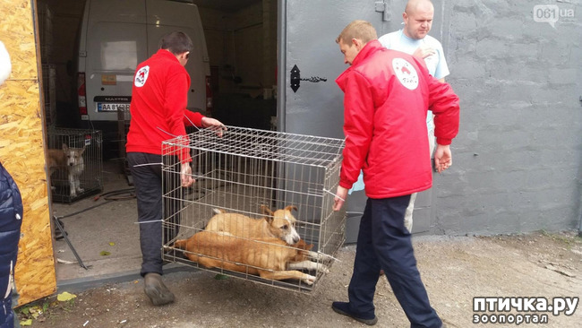 ���� 1: �������? ������� ��������?