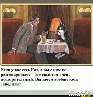 ����: ��� ���������