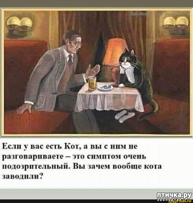 ���� 1: ��� ���������