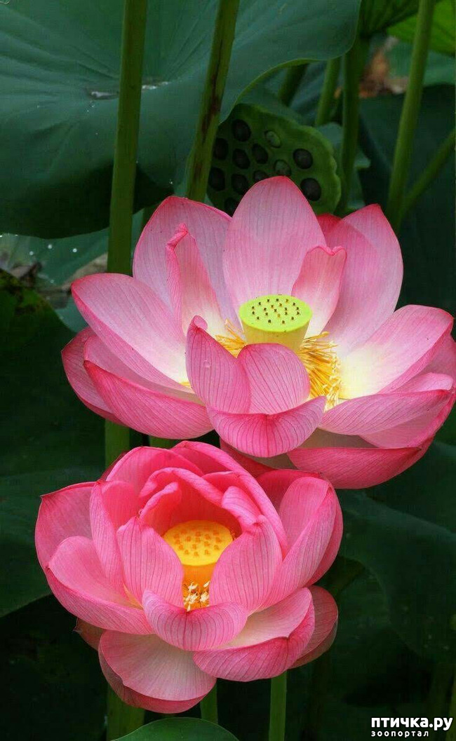 ���� 6: ������� � ��������