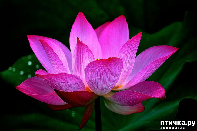 ���� 7: ������� � ��������