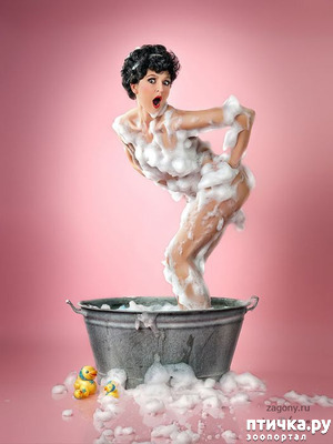 ����: ������� � ��������