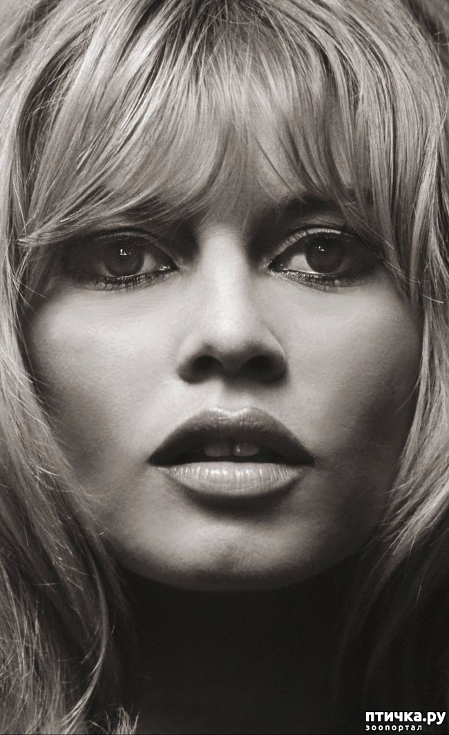 ���� 2: ������� � ��������