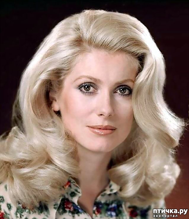 ���� 3: ������� � ��������