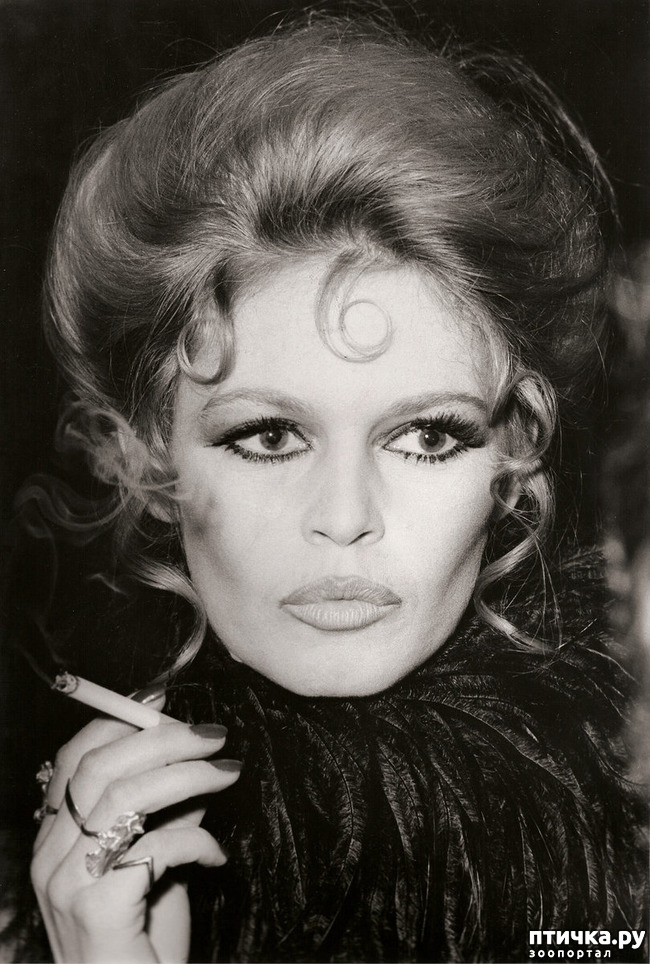 ���� 5: ������� � ��������