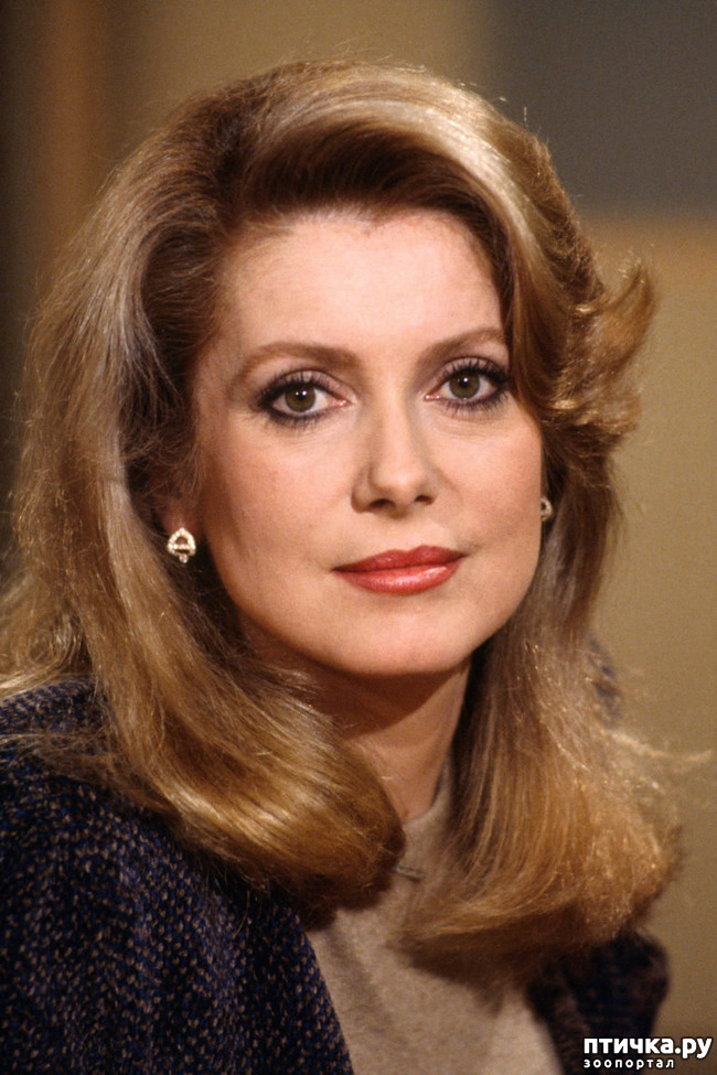 ���� 4: ������� � ��������