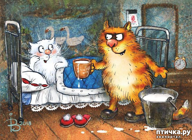 ���� 3: � 8 �����!!!