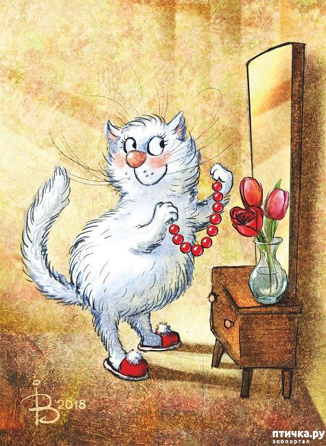 ���� 4: � 8 �����!!!