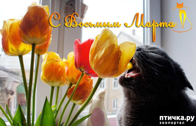 ���� 5: � 8 �����!!!