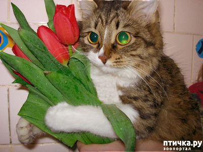 ���� 6: � 8 �����!!!