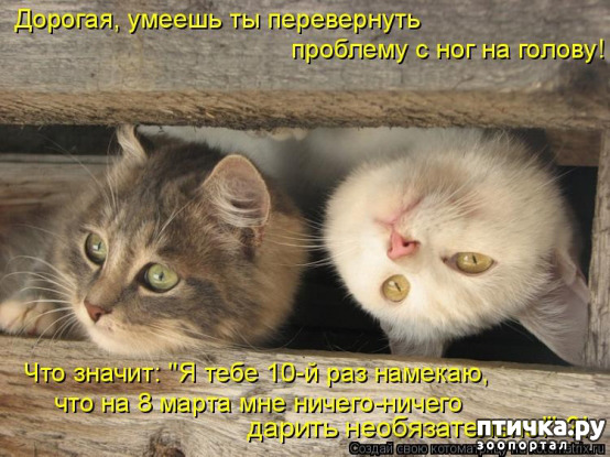 ���� 8: � 8 �����!!!