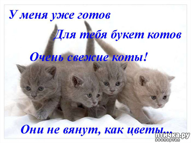 ���� 9: � 8 �����!!!