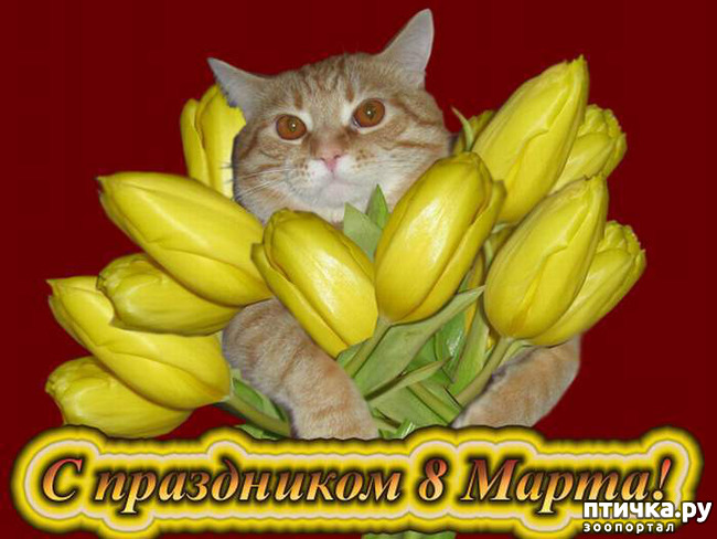 ���� 10: � 8 �����!!!