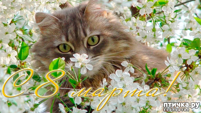 ���� 11: � 8 �����!!!