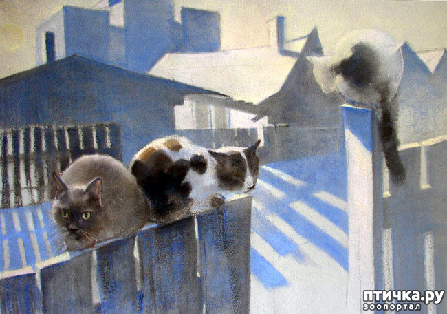 ���� 3: ����. ��� ����� � ���� �����...