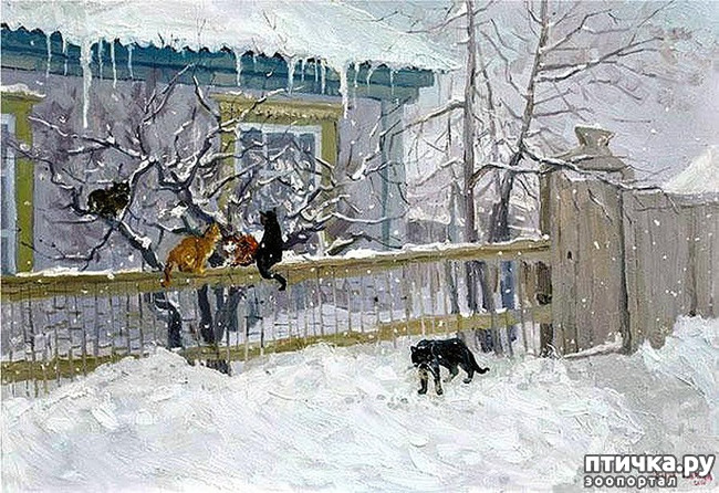 ���� 2: ����. ��� ����� � ���� �����...