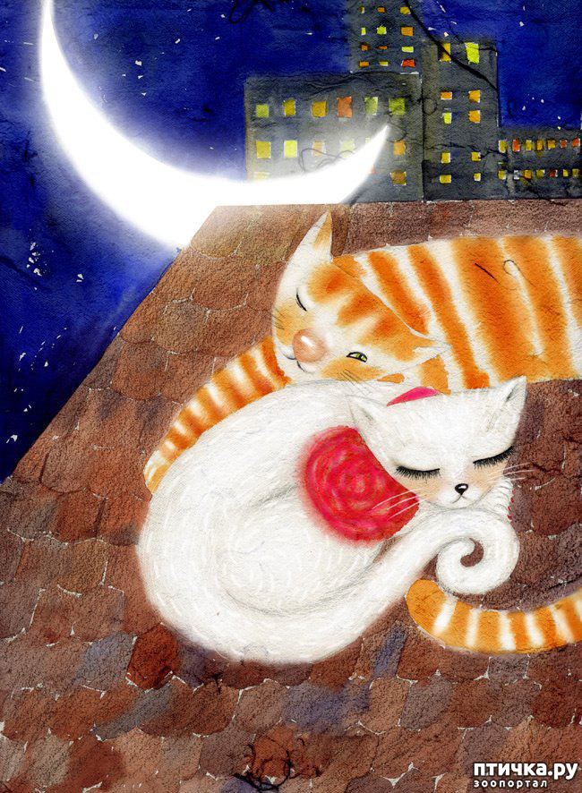 ���� 4: ����. ��� ����� � ���� �����...