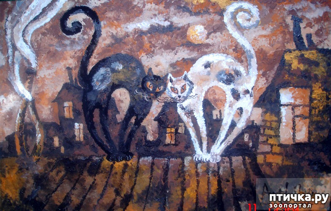 ���� 6: ����. ��� ����� � ���� �����...