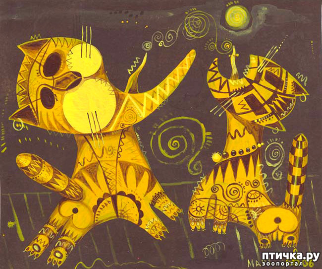 ���� 7: ����. ��� ����� � ���� �����...