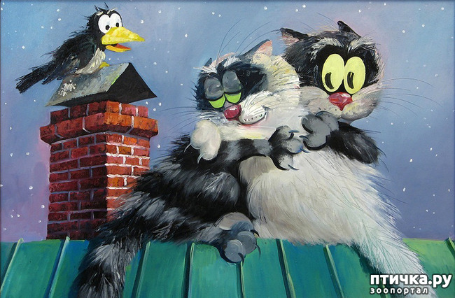 ���� 8: ����. ��� ����� � ���� �����...