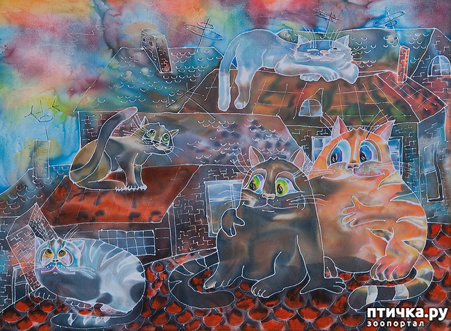 ���� 10: ����. ��� ����� � ���� �����...