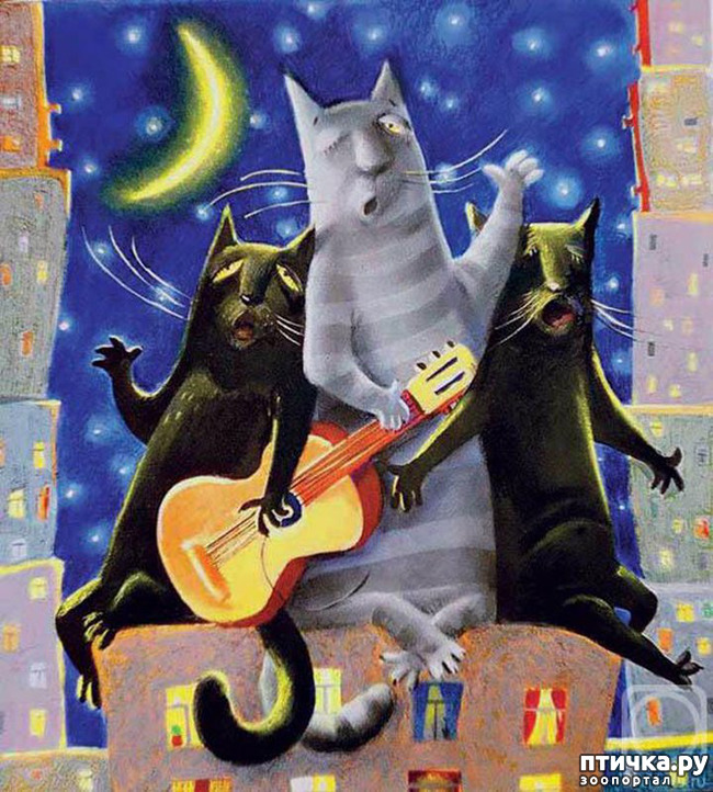 ���� 11: ����. ��� ����� � ���� �����...