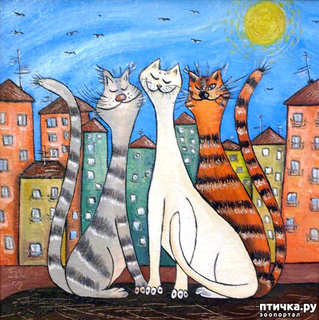 ���� 12: ����. ��� ����� � ���� �����...