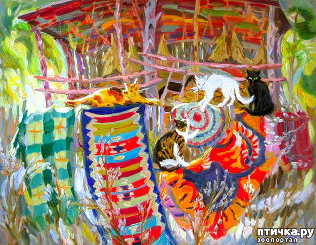 ���� 13: ����. ��� ����� � ���� �����...