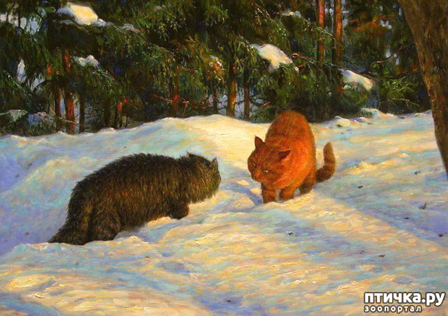 ���� 14: ����. ��� ����� � ���� �����...