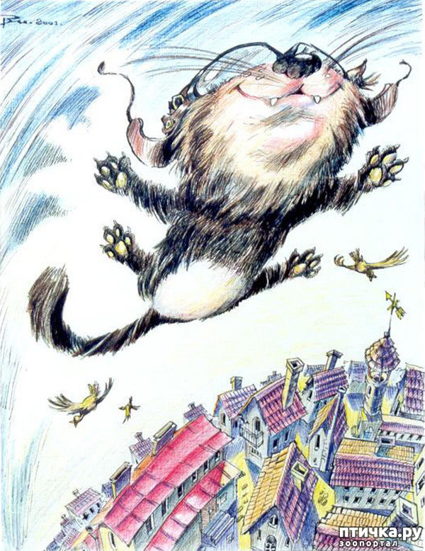 ���� 15: ����. ��� ����� � ���� �����...