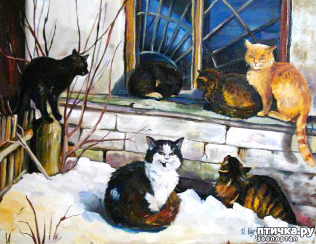 ���� 16: ����. ��� ����� � ���� �����...