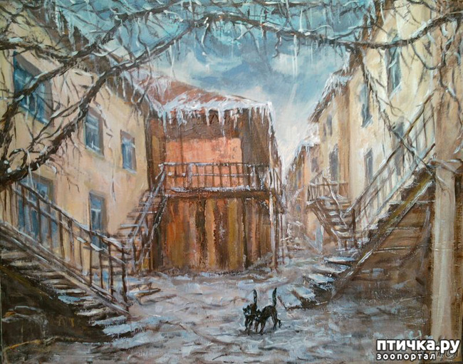 ���� 17: ����. ��� ����� � ���� �����...